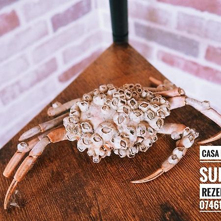 Casa De Vacanta Rodica 술리나 외부 사진