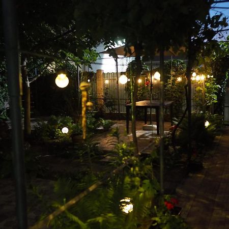 Casa De Vacanta Rodica 술리나 외부 사진