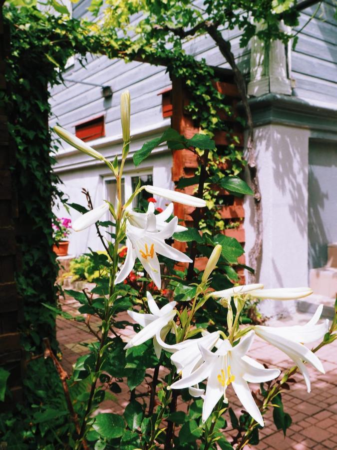 Casa De Vacanta Rodica 술리나 외부 사진
