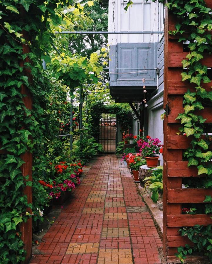Casa De Vacanta Rodica 술리나 외부 사진